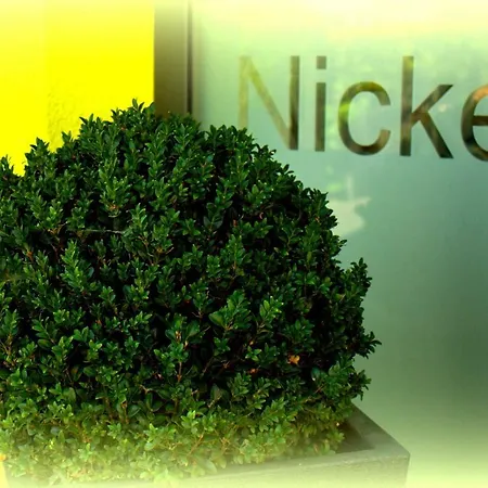 Nickel Ferienwohnung Taeubchesweg 7 Alsbach-haehnlein Alsbach-Hahnlein